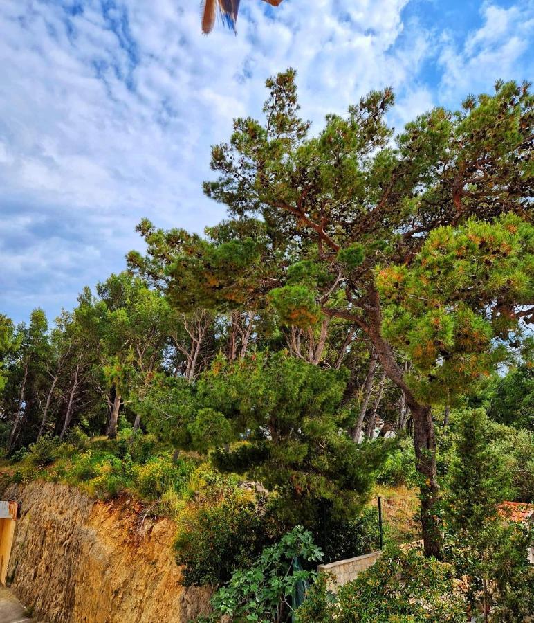 Apartman Mar18 Makarska Esterno foto
